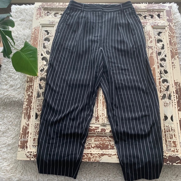 Aritzia Pants - Babaton Striped Blue Pants
